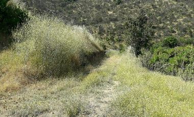 Parcela En Santa Rosa Lavadero V 714-85-LR-11.17