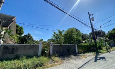 UPS 5 | Residential Lot For Sale - #6249