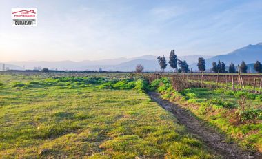 León propiedades vende 6 ha. en el Ajial, Curacaví.
