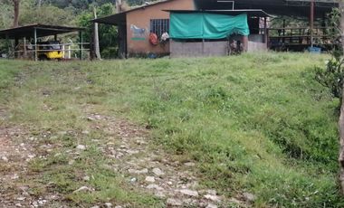 Venta Finca  Ganadera San Roque Antioquia