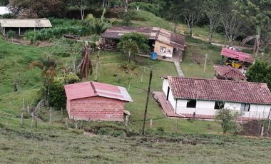 Venta Finca  Ganadera San Roque Antioquia