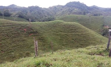 Venta Finca  Ganadera San Roque Antioquia