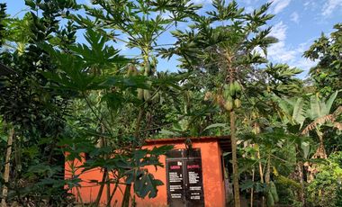 VENDO QUINTA VACACIONAL, SUITE, SEMBRIOS, BIODIVERSIDAD