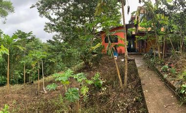 VENDO QUINTA VACACIONAL, SUITE, SEMBRIOS, BIODIVERSIDAD