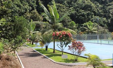 VENDO QUINTA VACACIONAL, SUITE, SEMBRIOS, BIODIVERSIDAD