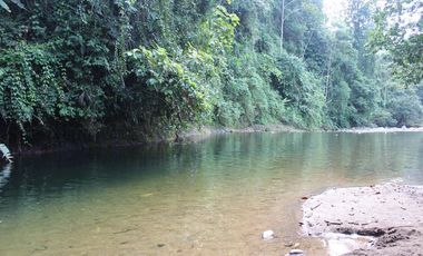 VENDO QUINTA VACACIONAL, SUITE, SEMBRIOS, BIODIVERSIDAD