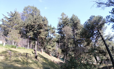 CASA EN VENTA ISIDRO FABELA