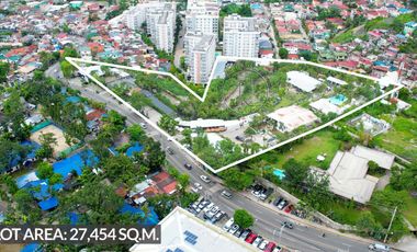 2 hectare raw lot in Cebu City