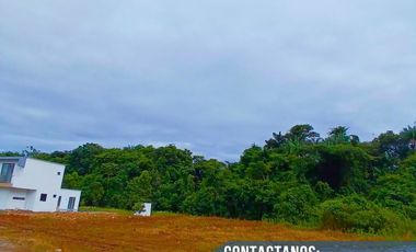 VENDO LOTE CAMPESTRE  VEREDA MONTELIBANO ACACIAS META