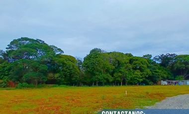 VENDO LOTE CAMPESTRE  VEREDA MONTELIBANO ACACIAS META