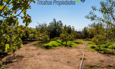 Centro de eventos 5.000 m2, a 25 minutos de La Serena. $340 millones