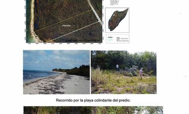 Terreno Palancar. 350 metros de playa en el mar caribe , ideal para desarrollo residencial o comercial