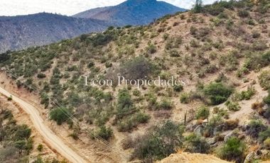 Leon propiedades vende parcelas en Los Maquis, Curacavi desde $17.000.000