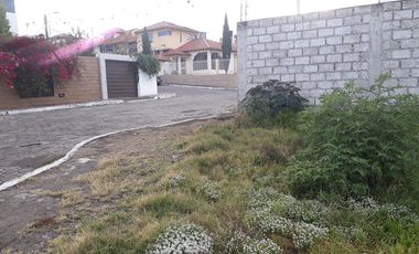 LOTE DE TERRENO EN LA VICTORIA