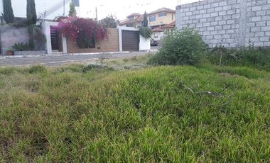 LOTE DE TERRENO EN LA VICTORIA