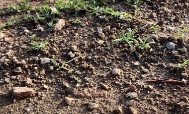 Terreno en Coto Grand, en Capital Norte con casa club