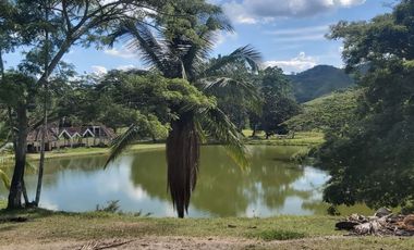 FINCA GANADERA