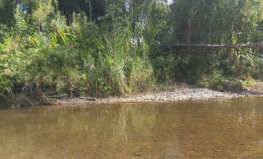 FINCA GANADERA