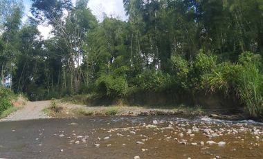 FINCA GANADERA