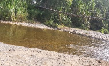 FINCA GANADERA
