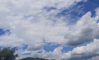 FINCA GANADERA