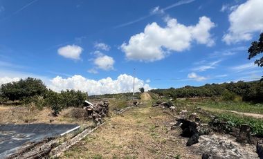 Mira - Carchi - De Venta Hermosa Finca Aguacatera con Casa Moderna de 500m2