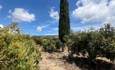Mira - Carchi - De Venta Hermosa Finca Aguacatera con Casa Moderna de 500m2