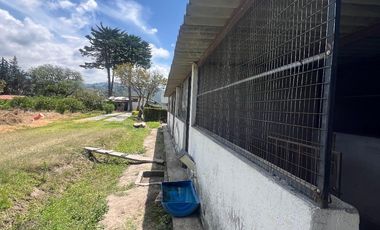 Mira - Carchi - De Venta Hermosa Finca Aguacatera con Casa Moderna de 500m2