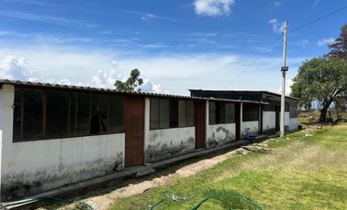 Mira - Carchi - De Venta Hermosa Finca Aguacatera con Casa Moderna de 500m2