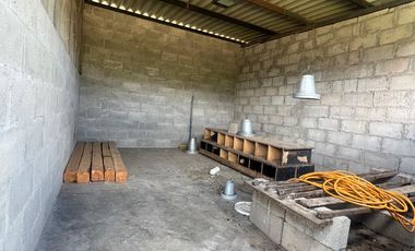 Mira - Carchi - De Venta Hermosa Finca Aguacatera con Casa Moderna de 500m2