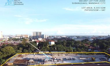 Gated Industrial Lot For Rent In Subangdako Mandaue City