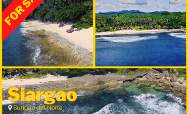 For Sale Siargao Lot near Domestic Airport