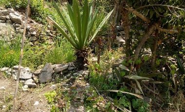 HERMOSO TERRENO EN LUNAHUANA ANEXO CATAPALLA A PIE DE CERRO