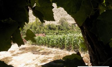 HERMOSO TERRENO EN LUNAHUANA ANEXO CATAPALLA A PIE DE CERRO