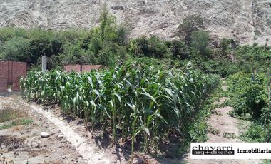 HERMOSO TERRENO EN LUNAHUANA ANEXO CATAPALLA A PIE DE CERRO