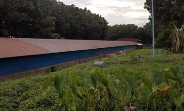 Poultry Farm for Sale in Rosario, Batangas | Ref:JLN22