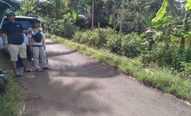 Tanah 2500 m Pinggir Jalan Dekat Untirta Cadasari