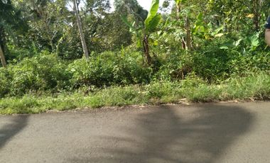 Tanah 2500 m Pinggir Jalan Dekat Untirta Cadasari