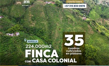 Venta de Finca para cultivo 26 Hectáreas en Marsella Colombia