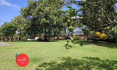 FINCA DE ALQUILER EN PEREIRA COLOMBIA, ECONÓMICA (No es mensualidad)