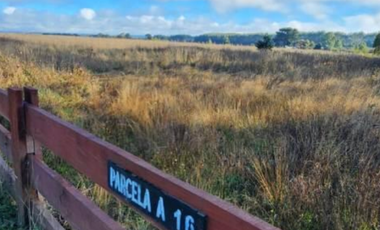 Parcela en Altos de Santa Elisa, Los Muermos