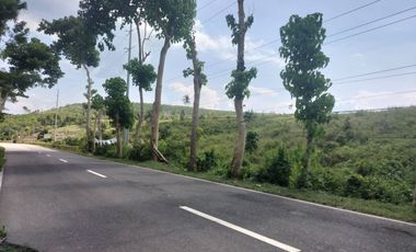 5 Years to Pay Commercial Lots for Sale in Santa Cruz, Ronda, Cebu