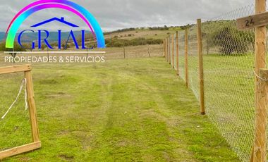 Terreno 5.000 M2 en Mallermo