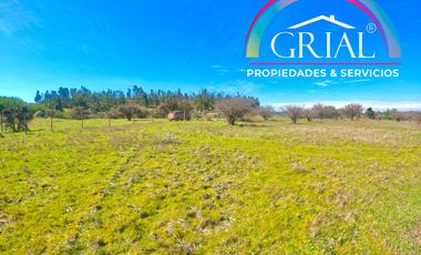 Terreno 5.000 M2 en Mallermo