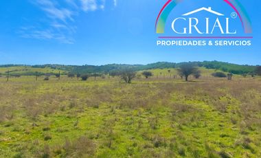 Terreno 5.000 M2 en Mallermo