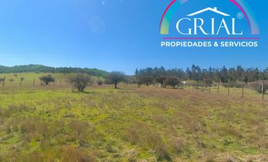 Terreno 5.000 M2 en Mallermo