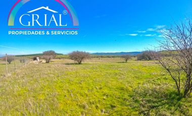 Terreno 5.000 M2 en Mallermo