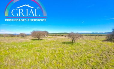 Terreno 5.000 M2 en Mallermo