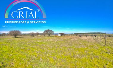 Terreno 5.000 M2 en Mallermo