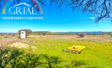 Terreno 5.000 M2 en Mallermo